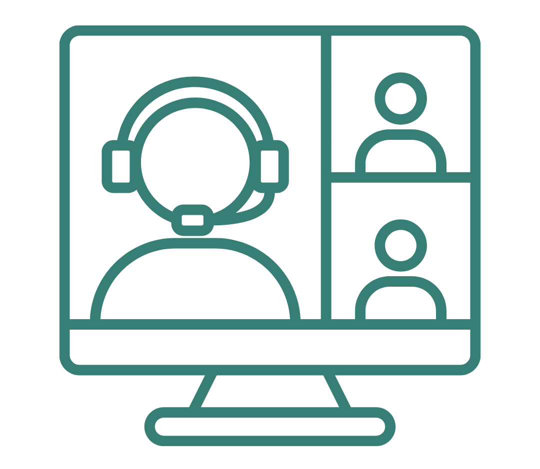 Webinar with presenter and participants on screen