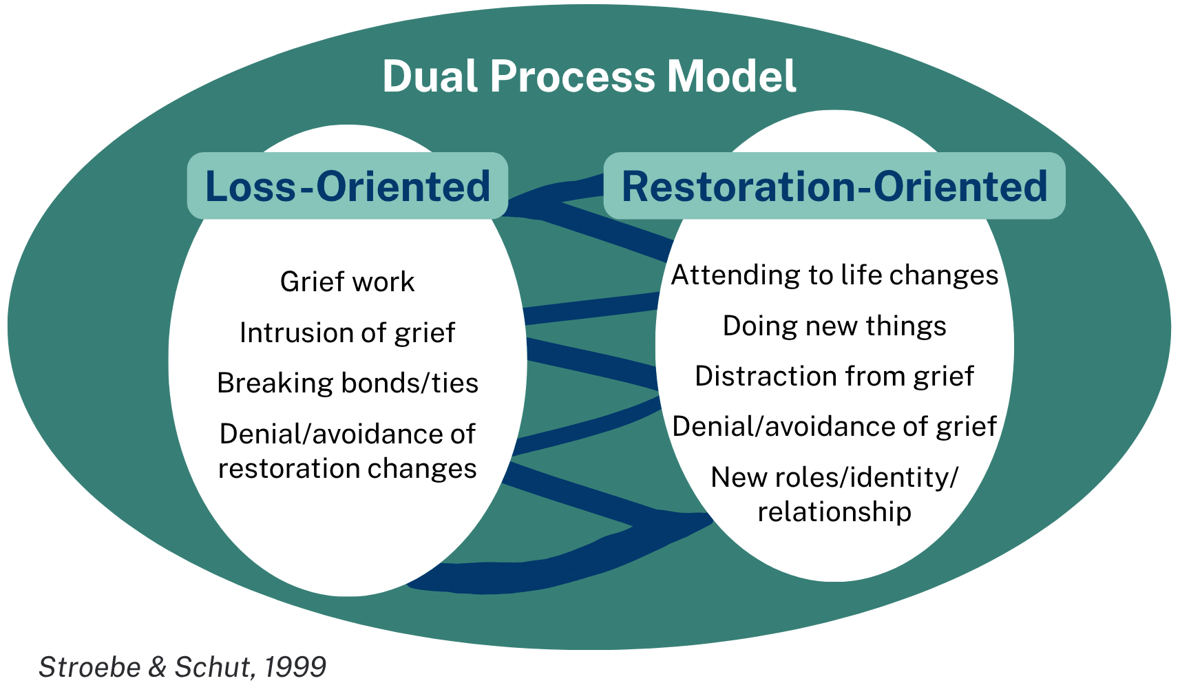 Diagram of Dual Process Model showing movement between loss-oriented and restoration-oriented coping
